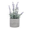 Levandule v šedém obalu - umělá, barva přírodní (Barva Fialová)