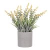 Vřes v šedém obalu - umělý, barva krémová (Barva Krémová)