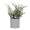 Vřes v šedém obalu - umělý, barva krémová (Barva Krémová)