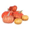 Dýně plastová - mix tvarů a 3 barev, cena za balení (9 ks) (Barva Oranžová)