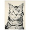 Kusový koberec Cat grey (Rozměry koberců 80x120)