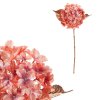 Hortenzie - umělá řezaná, meruňková s pozlacením (Barva Růžová)