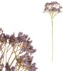 Gypsophila - umělá řezaná, barva krémová (Barva Fialová)