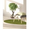 Kusový koberec Life Shaggy 1500 green kruh (Rozměry koberců 80x80 (průměr) kruh)