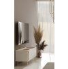 TV stolek Carmina R10 macadamia/dub jarní