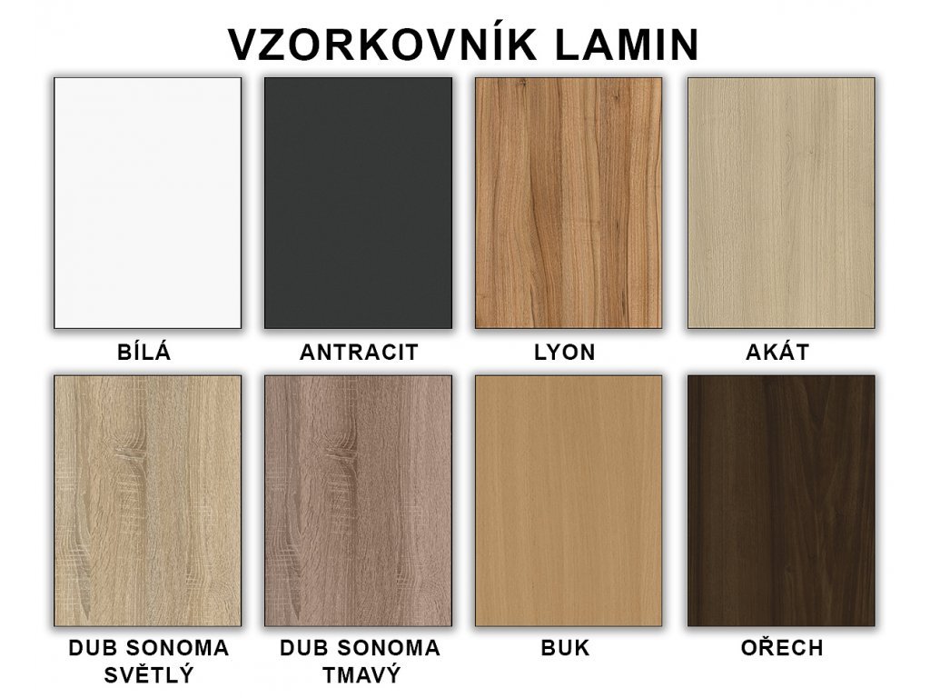VS 1054 P BŘÍZA BÍLÁ kopie