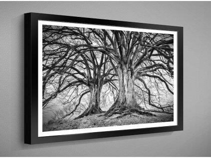 Obraz v rámu 60x40 cm s motivem příroda 0002