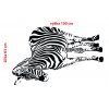 zebra stojící rozměry web
