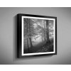 Obraz v rámu 40x40 cm s motivem architektura příroda 1049