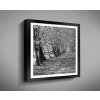 Obraz v rámu 40x40 cm s motivem architektura příroda 1056