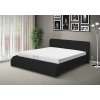 Luxusní postel SEINA NEW  s MOT 120 černá EKO kůže