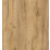 Dub - Craft zlatý