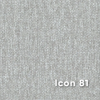 Icon_81