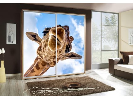 Šatní skříň Penelopa 2 s posuvnými dveřmi - šířka 205 cm žirafa