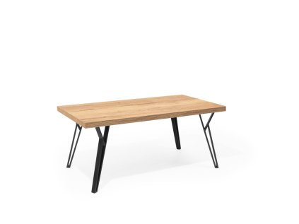 Konferenční stůl DINO MINI 110x60