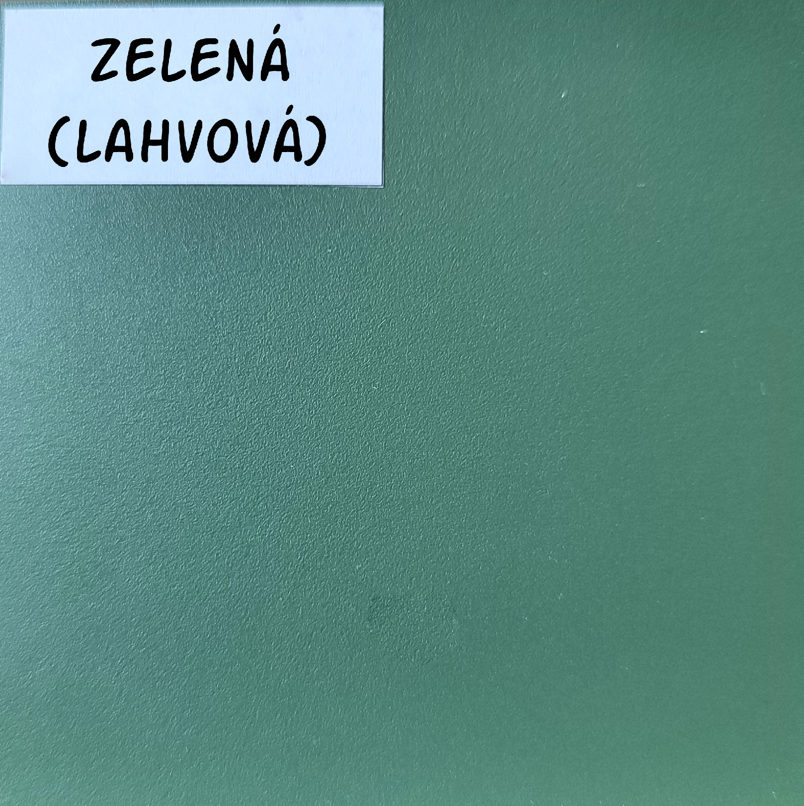 Šatní skříň Siena D2 Barva korpusu: Zelená, Rozměry: 100 cm - Zelená,bílá,černá, růžová,modrá,zelená