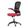 ka v317 red 03