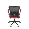 ka v317 red 19