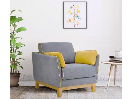 Čalouněné křeslo GRANNY 1