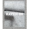 raven 06