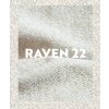 raven 22