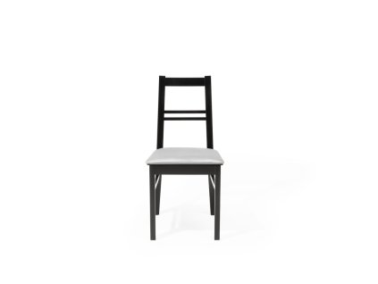 Jídelní židle DEMI Z206 (POTAHOVÁ LÁTKA ASTON 571)