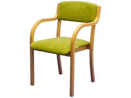 Jídelní židle/křeslo Fiona Z137 (Provedení jídelní židle PŘÍRODNÍ, POTAHOVÁ LÁTKA ASTON 571)