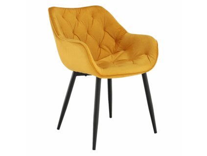 Designové křeslo FEDRIS (Barva žlutá)