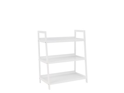 reon typ1