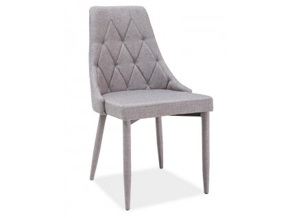 trix grey dsc3097