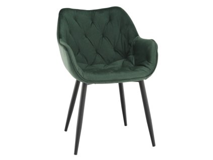 Designové křeslo FEDRIS NEW (Barva zelená)