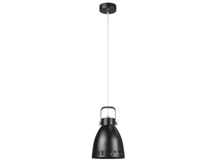 Visící lampa AIDEN typ 3 (Barva černá)
