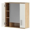 Závěsná skříňka se zrcadlem LESSY NEW 01 (Barva dub sonoma/matná bílá)