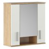 Závěsná skříňka se zrcadlem LESSY NEW 01 (Barva dub sonoma/matná bílá)