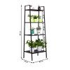 regal cierna aldea koty up