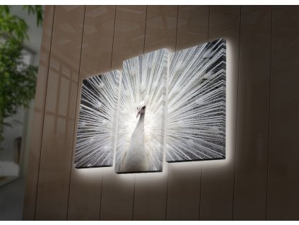 Násrěnný obraz na plátně PÁV s led osvětlením 66 cm