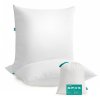 Polštář bílý 80 x 80 cm 1500g 2 ks SONGMICS