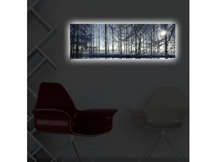 Nástěnný obraz s LED osvětlením WINTER
