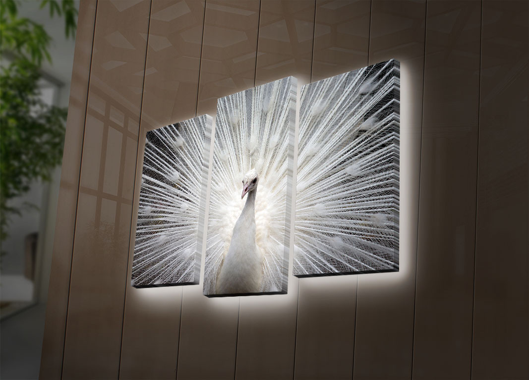 ASIR Nástěnný obraz na plátně PÁV s led osvětlením 66 cm