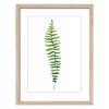 FR278 Wood fern 30x40 1