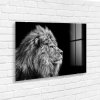 GL104 Lion 70X100 5