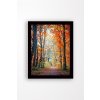 Obraz na MDF s rámem CESTA PODZIMNÍM LESEM 56 x 41 cm