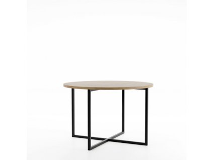 Konferenční stolek NELA - dub sonoma/černá