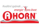 Ahorn