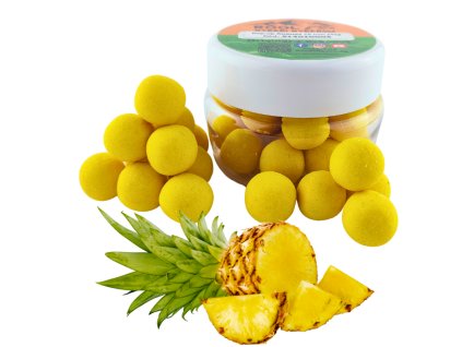 ananas 16