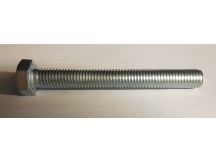 šroub M12x1,75x100 -6HRHL Zn