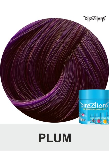 plum directions 100