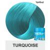 turquilise directions 100