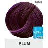 plum directions 100