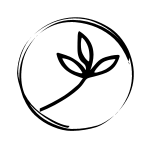 Kytice s jedinečným stylem, mix řezaných květin, lučního kvítí, bylin a větviček.